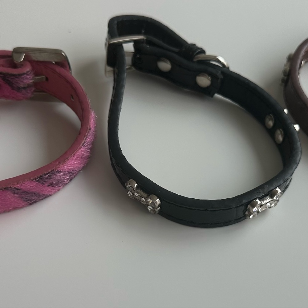 3 collars for a small dogs under 10lbs or cat
